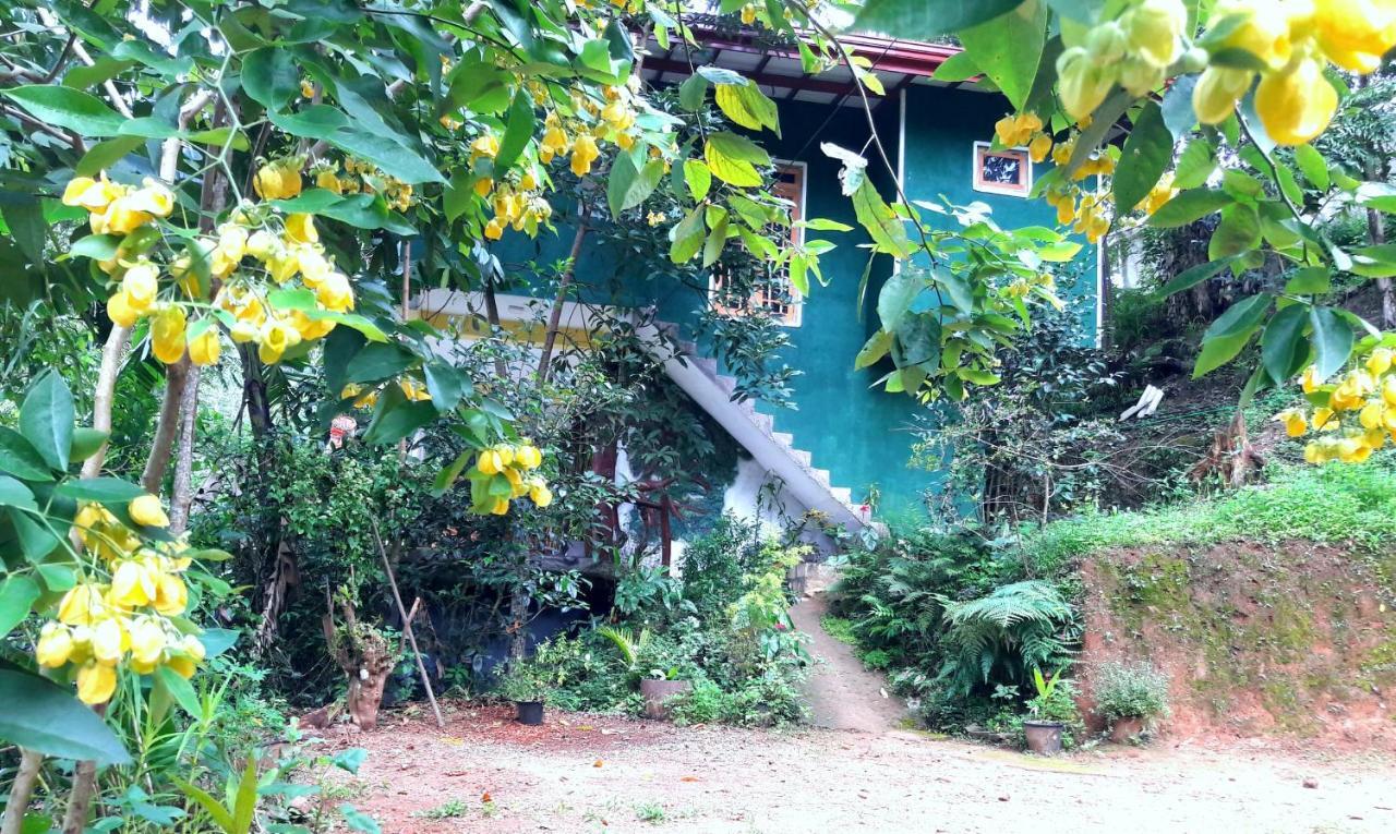 エッラ La Rochelle Bed & Breakfast エクステリア 写真